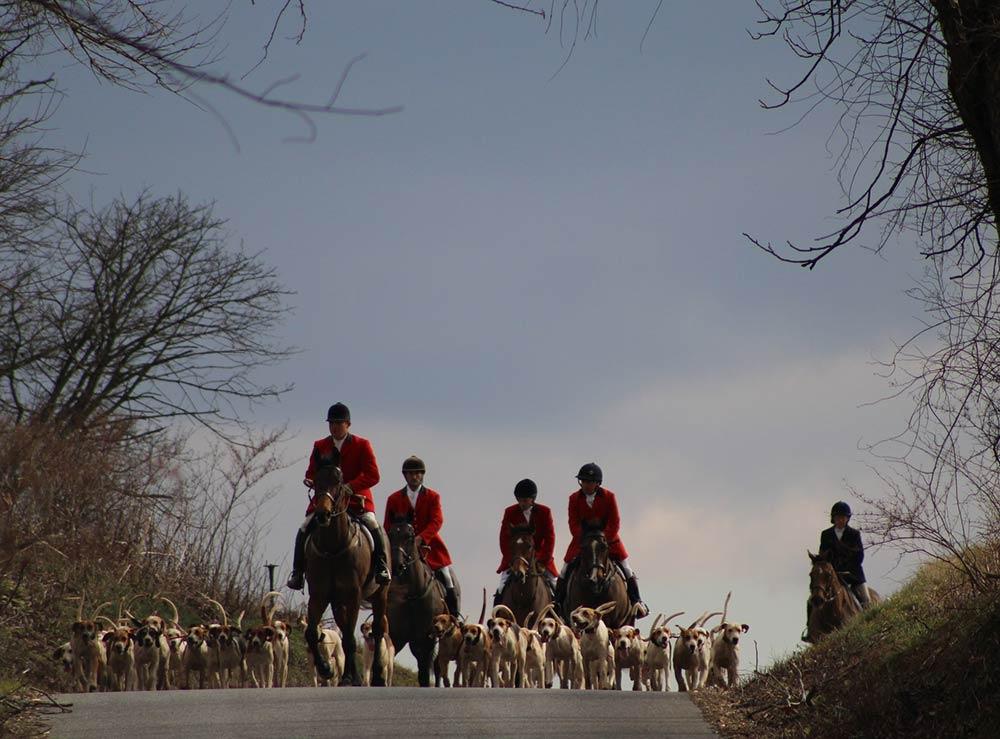 hounds and hunt on road