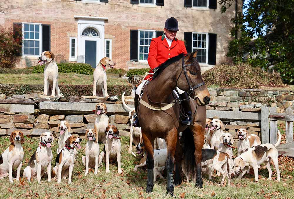 hunt staff with hounds