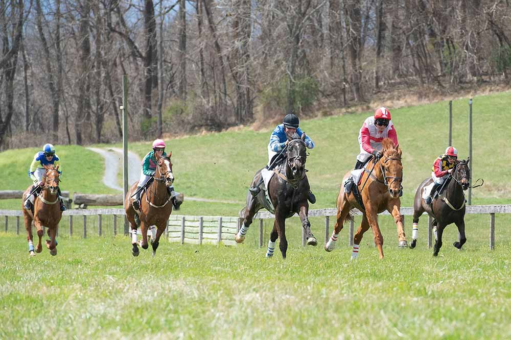 2024 Point-to-Point - Green Spring Valley Hounds