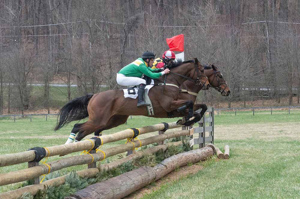 point to point over jumps