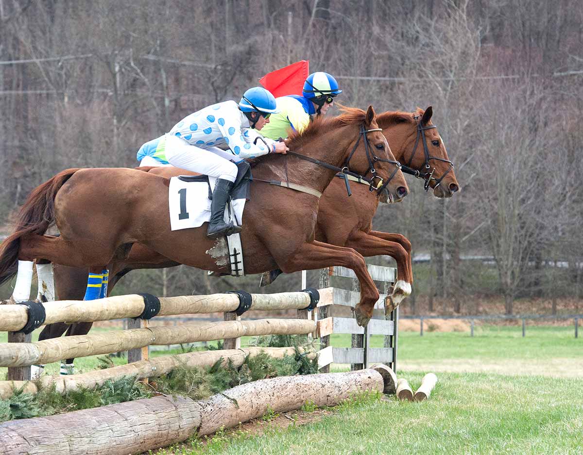 point to point 2 riders over fence