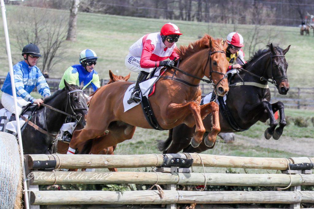 colorful jockeys on horses jumping timber fence in point to point race