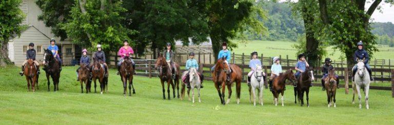 large group of pony camp riders on horses standing in line