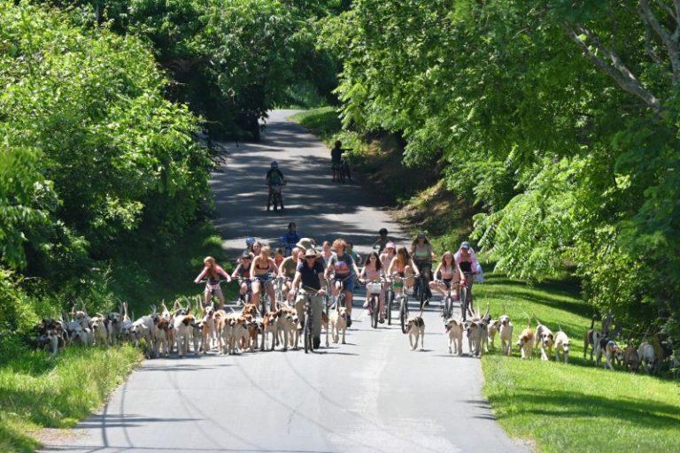 green spring valley hounds on a road with juniors on bicycles at pony camp