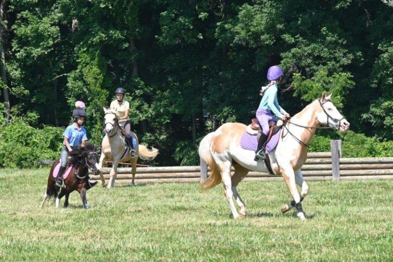 children galloping horses in a field at pony camp