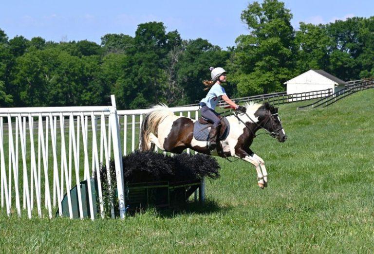 child jumping brush fence in field at pony camp