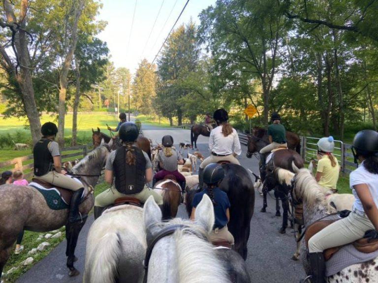 mounted juniors on road with fox hounds