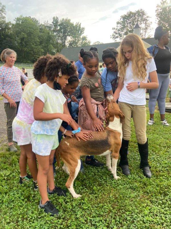 juniors gathered around and petting a foxhound
