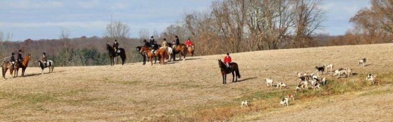 juniors and staff with green spring valley hounds in an open field while foxhunting