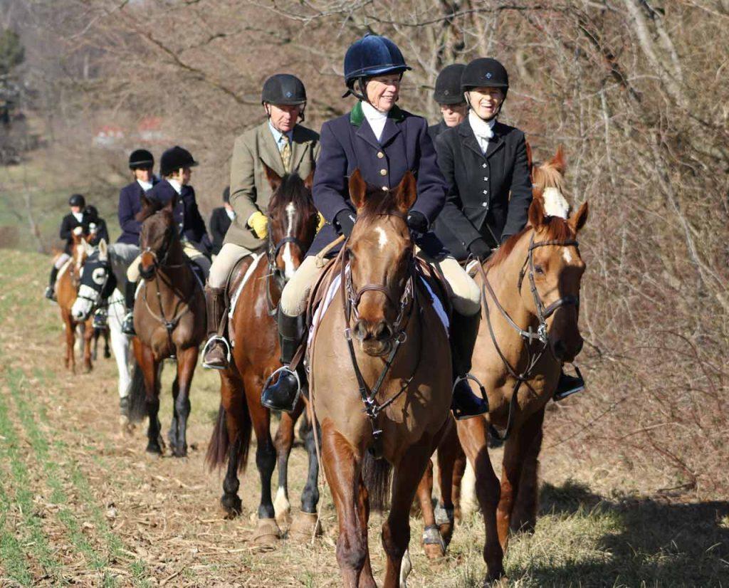 group of horses and riders in foxhunting attire walking through field