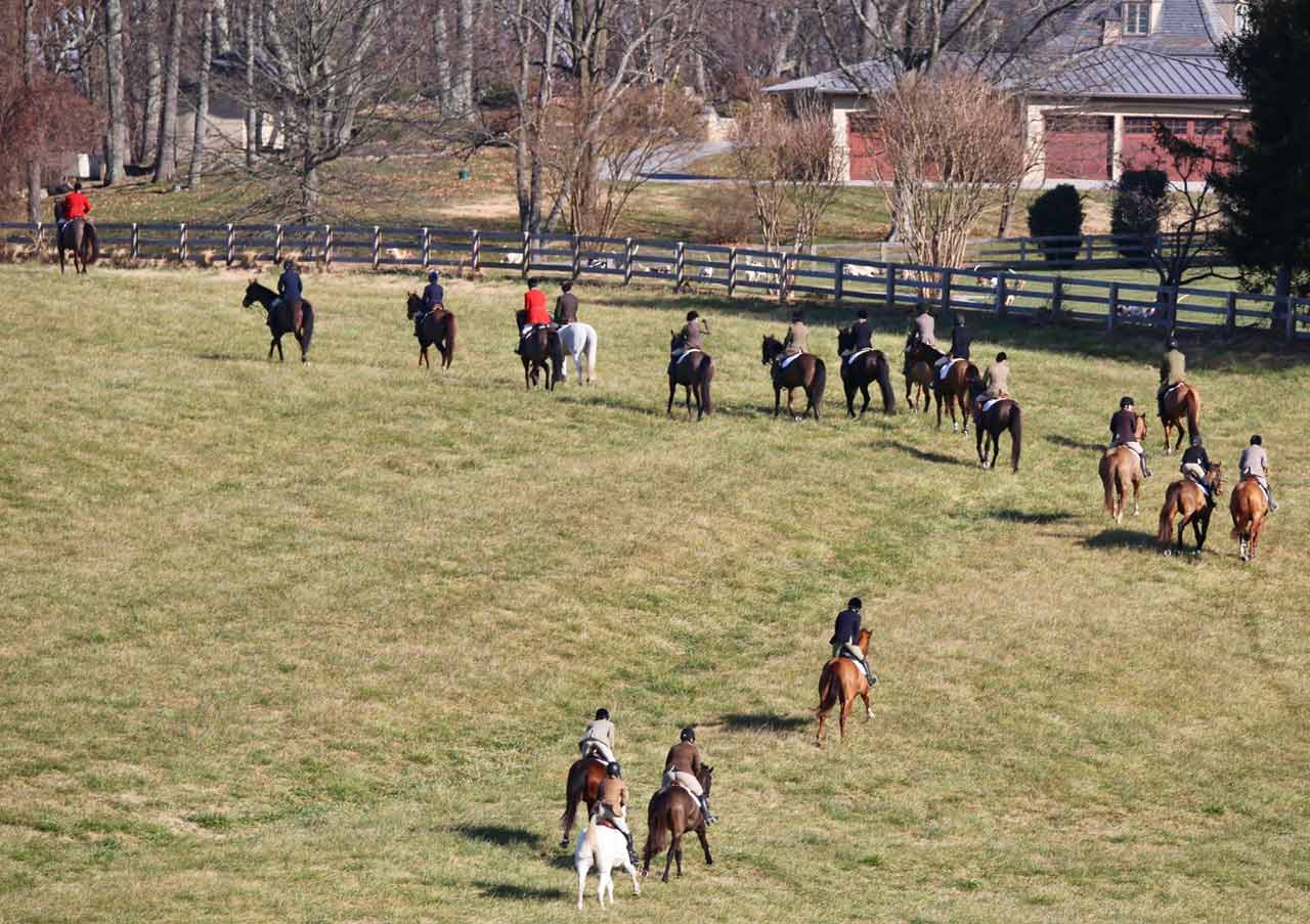 large group of horses and riders in a field, fox hunting with green spring valley hounds