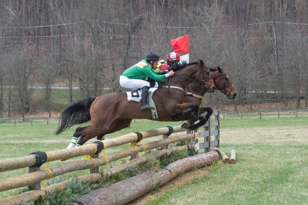 2 jockeys and horses jumping timber fence on point to point course