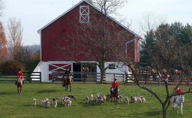 Riders horses and hounds in front of red barn - historic photo