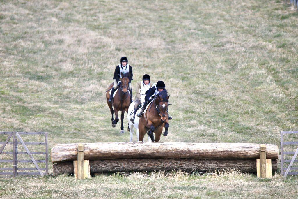 3 horses approaching a log fence