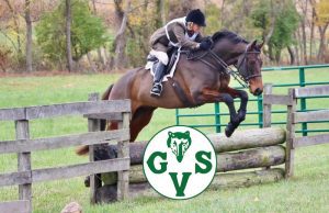 Hunter pace rider and horse over log jump